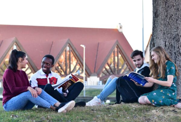 Four students sitting on the grass, engrossed in reading books.